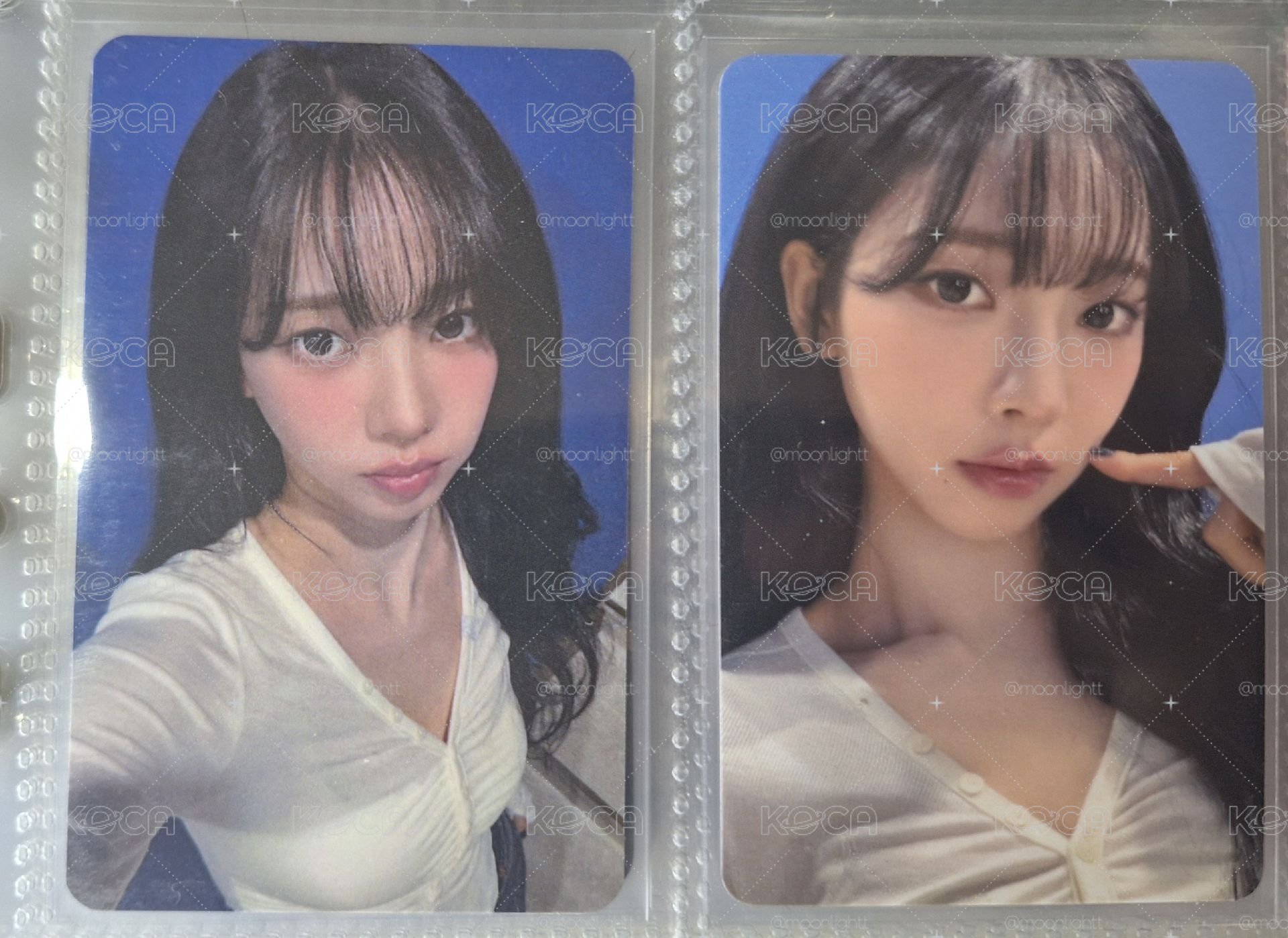 現貨📦 EL簽售卡+JU幸運卡 柚