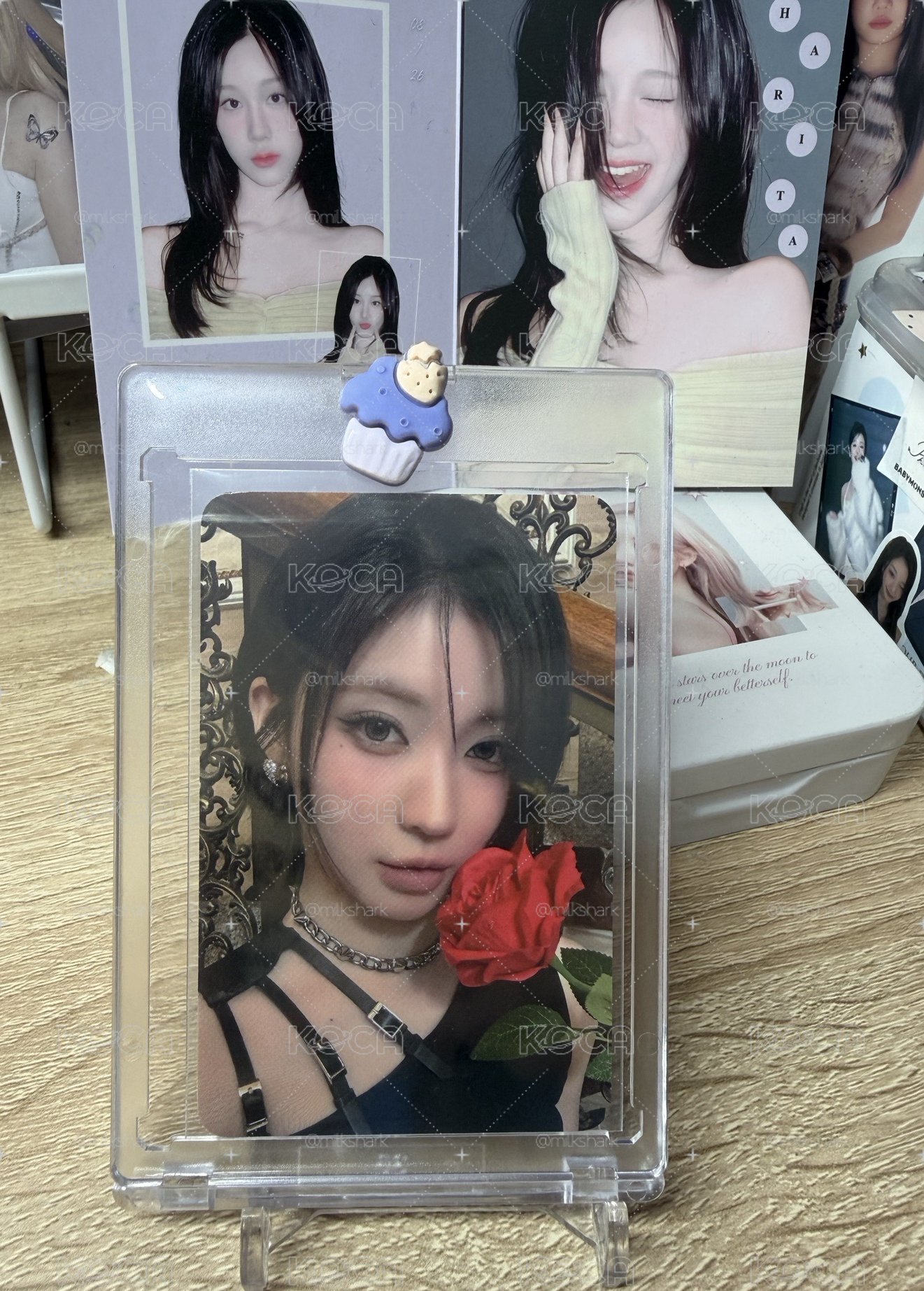 玫瑰幸運卡紗
