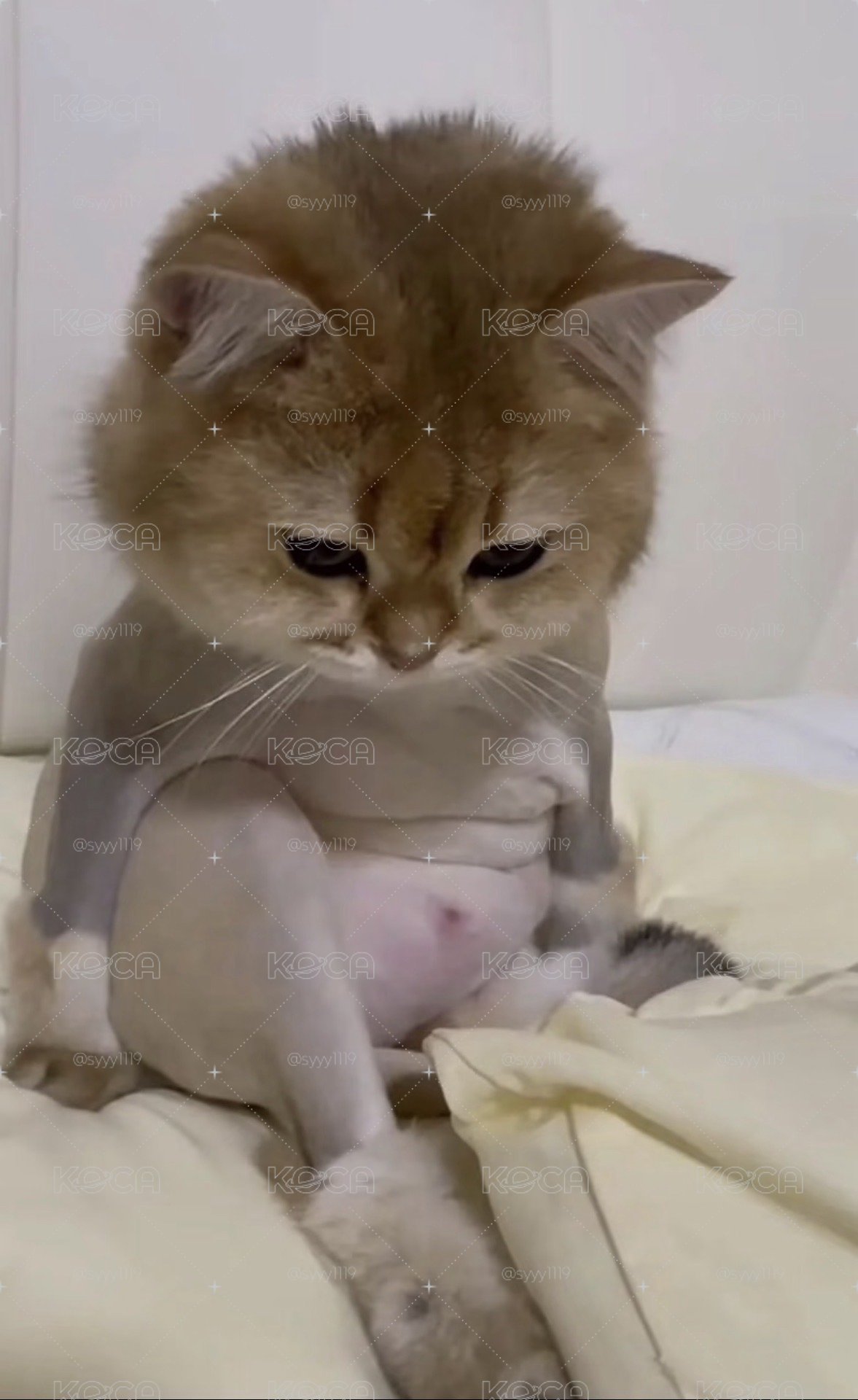 防下架