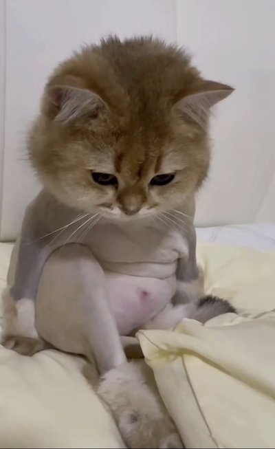 防下架