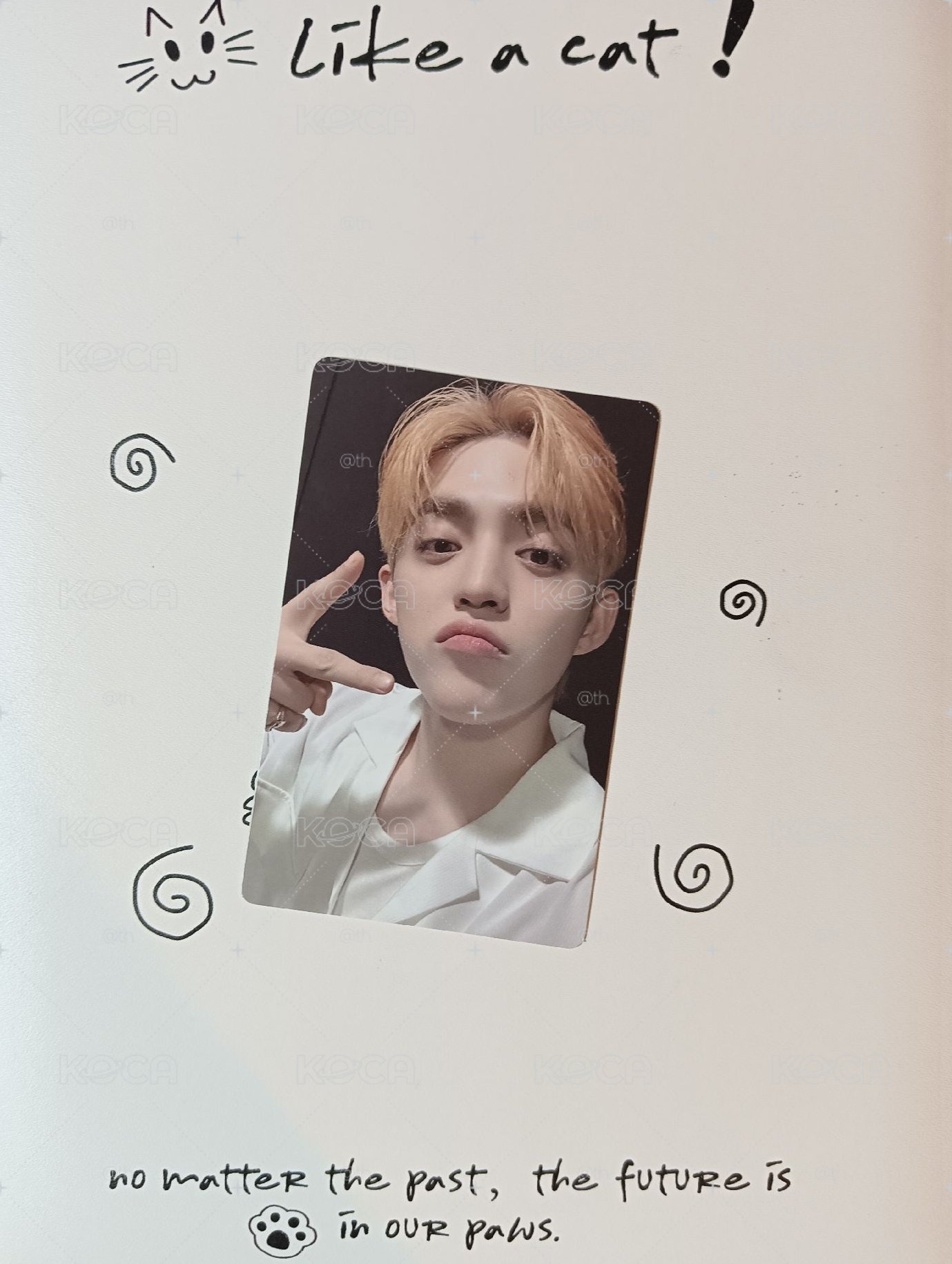 coups特典卡🍒