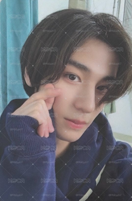 WHO! 專輯卡 
