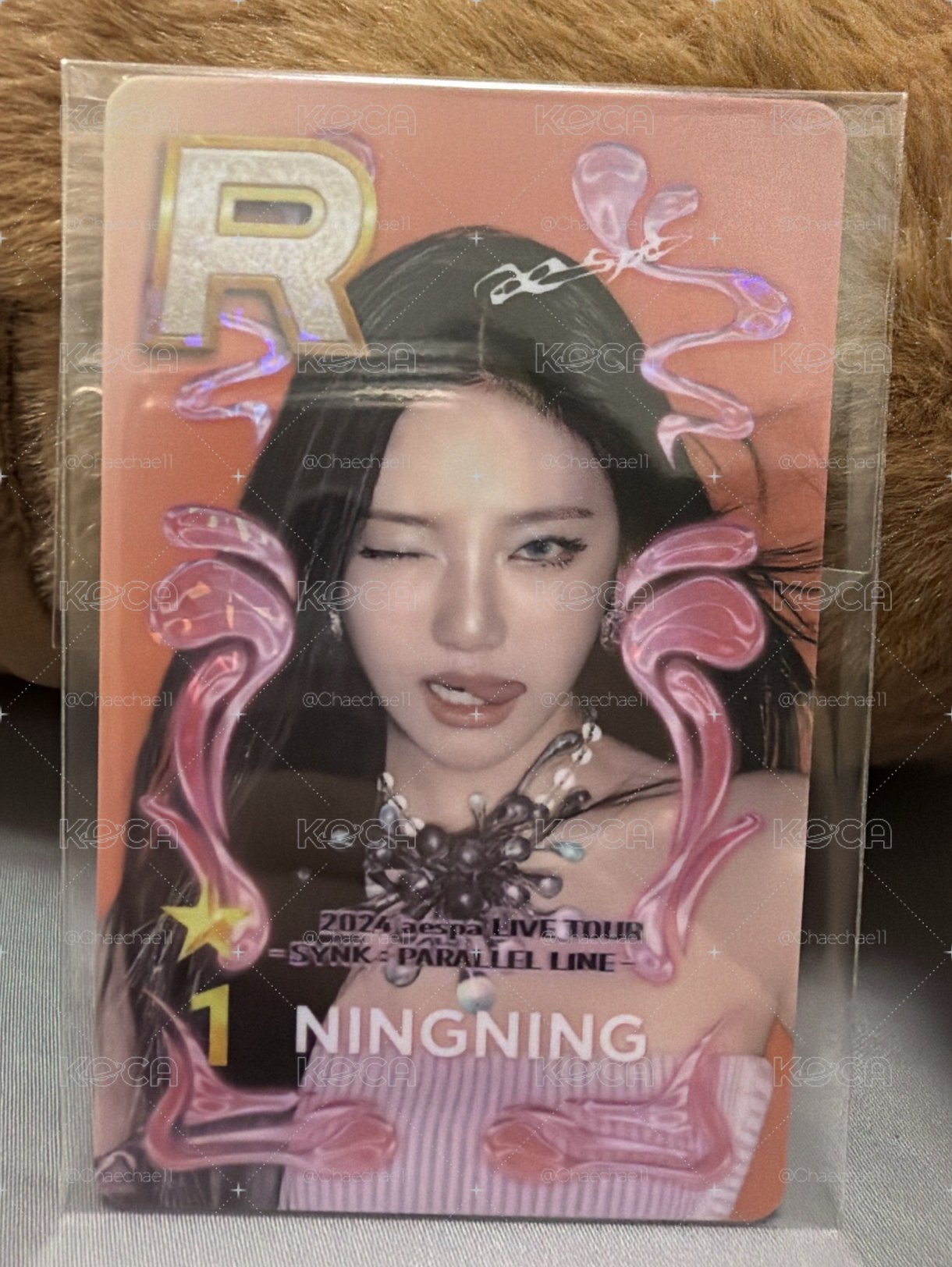 貌美小貓寧 10元起