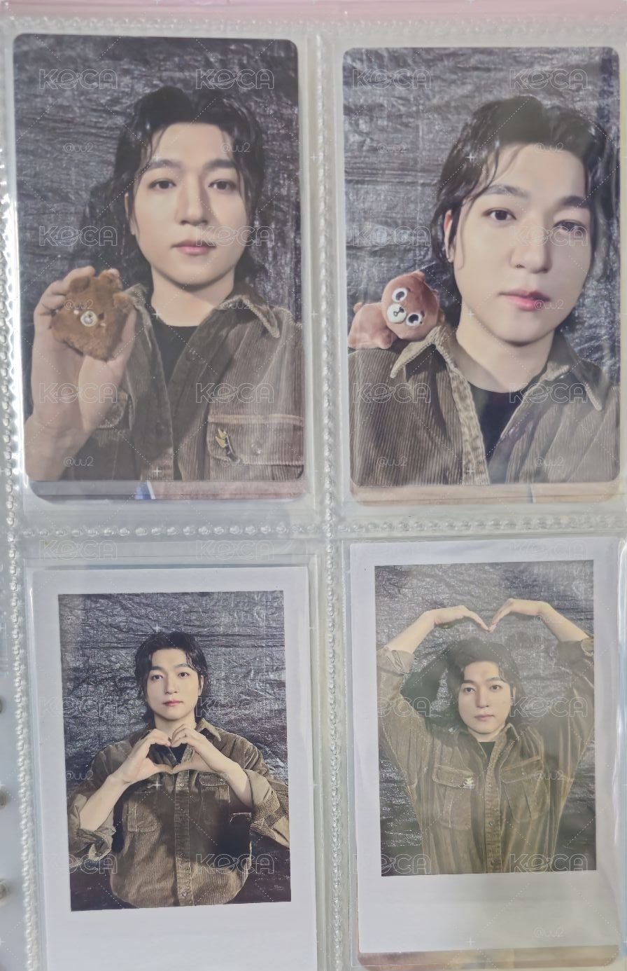 DVD🐻