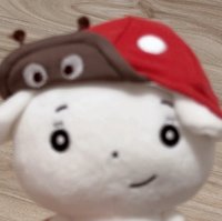 我有九只猫