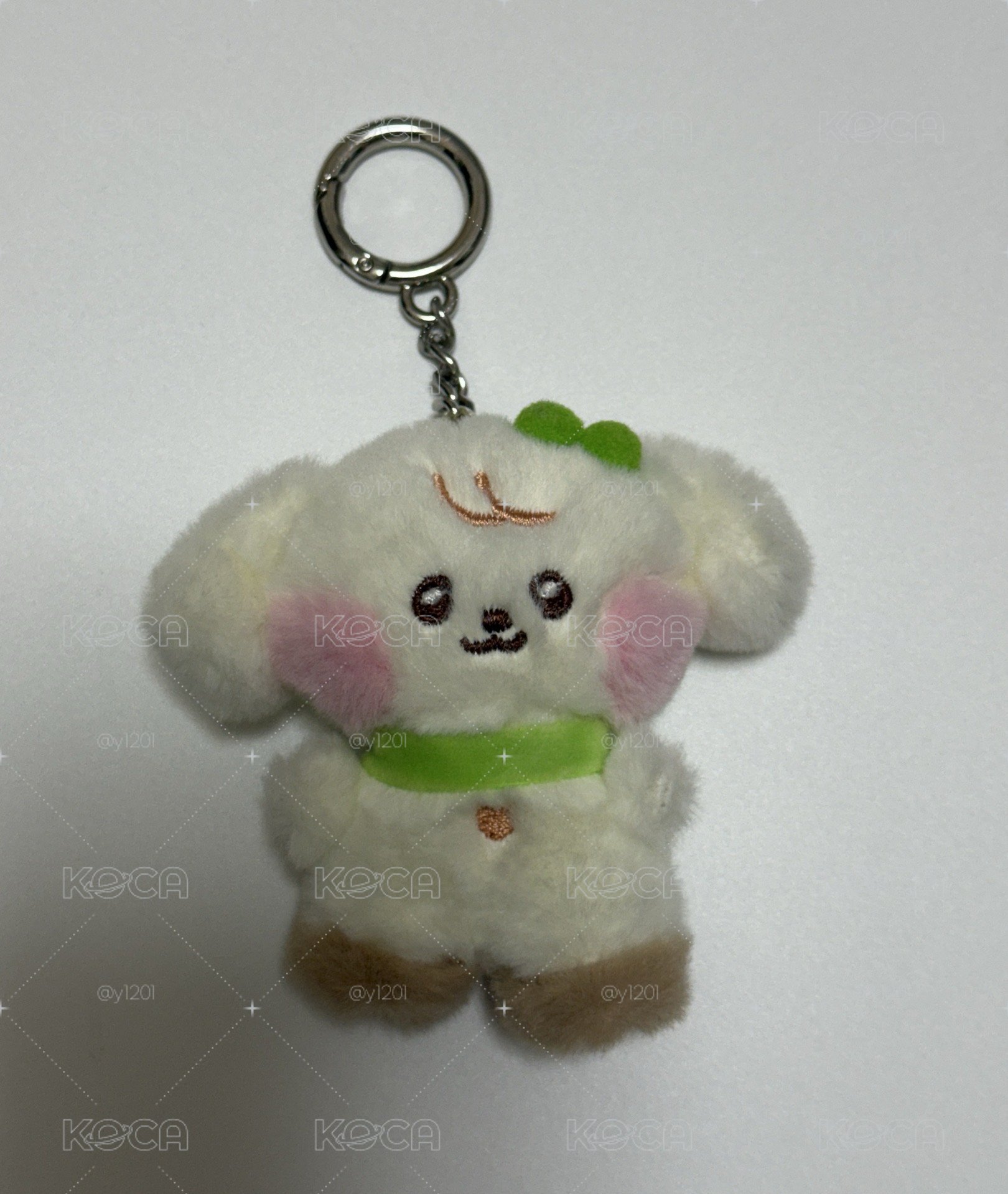 二巡週邊 飾件鏈帶   line friends安吊飾