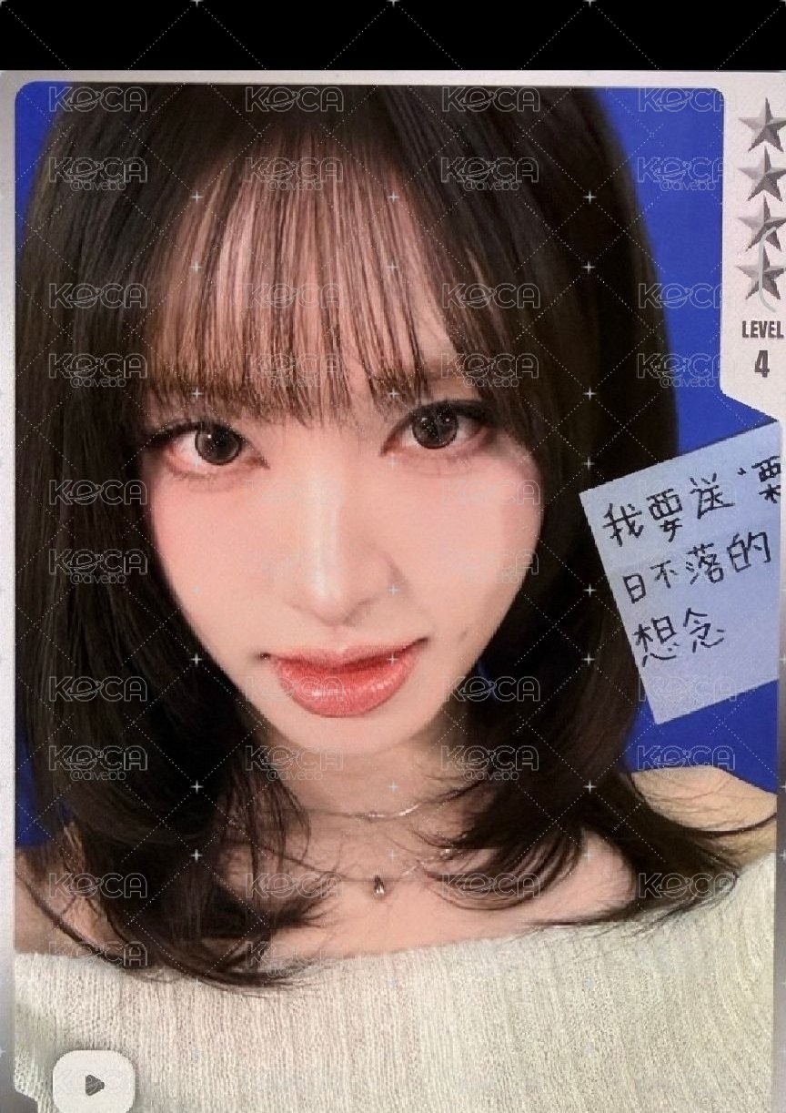 四星栗子