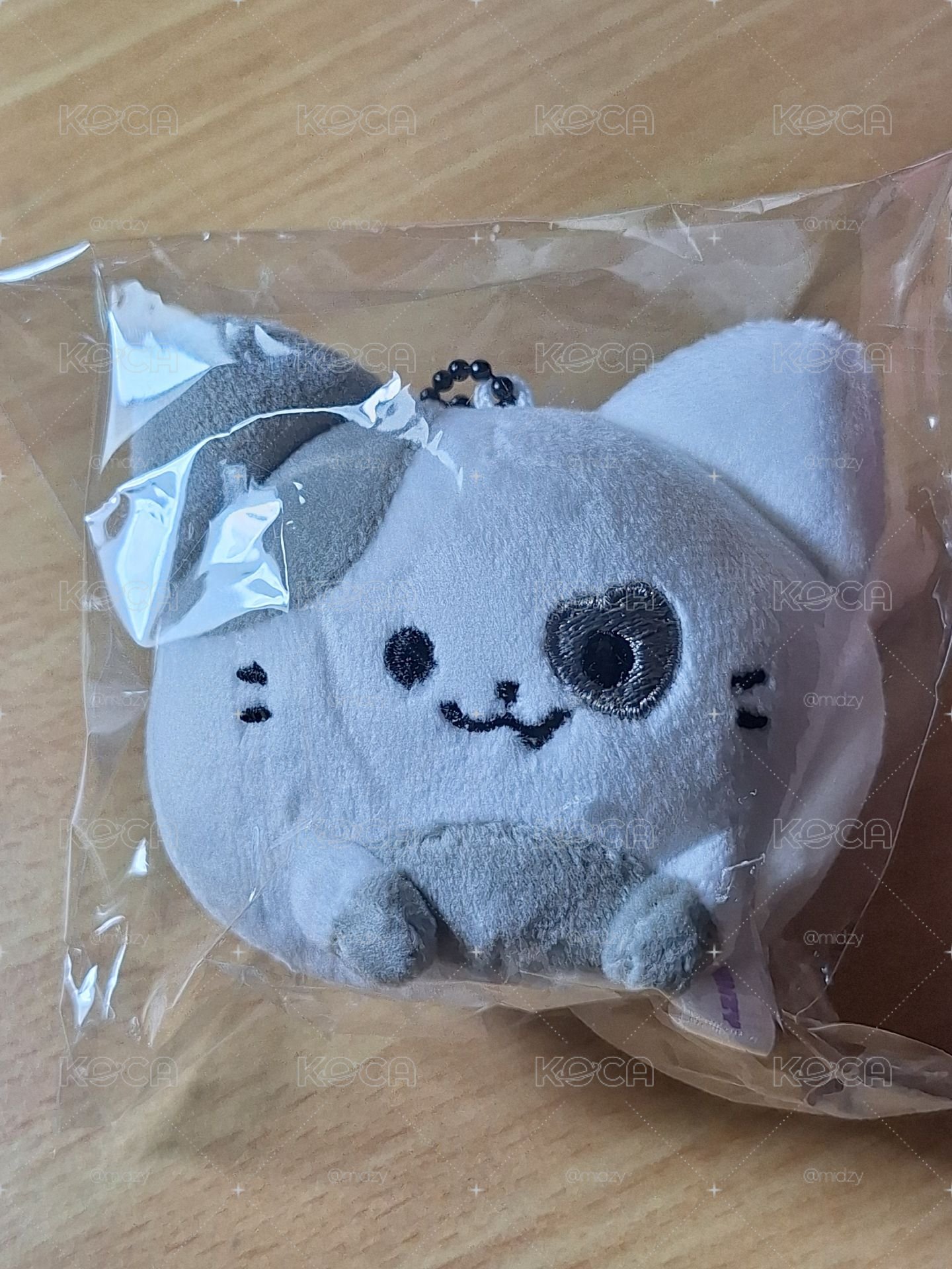 圓滾滾志