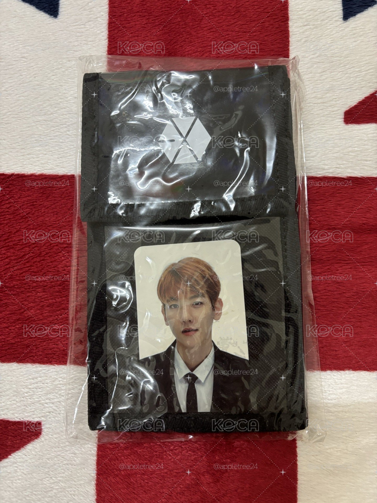 「全新未拆」EXO PLANET ＃4 - The EℓyXiOn BAEKHYUN 安可場 票夾（含小卡）