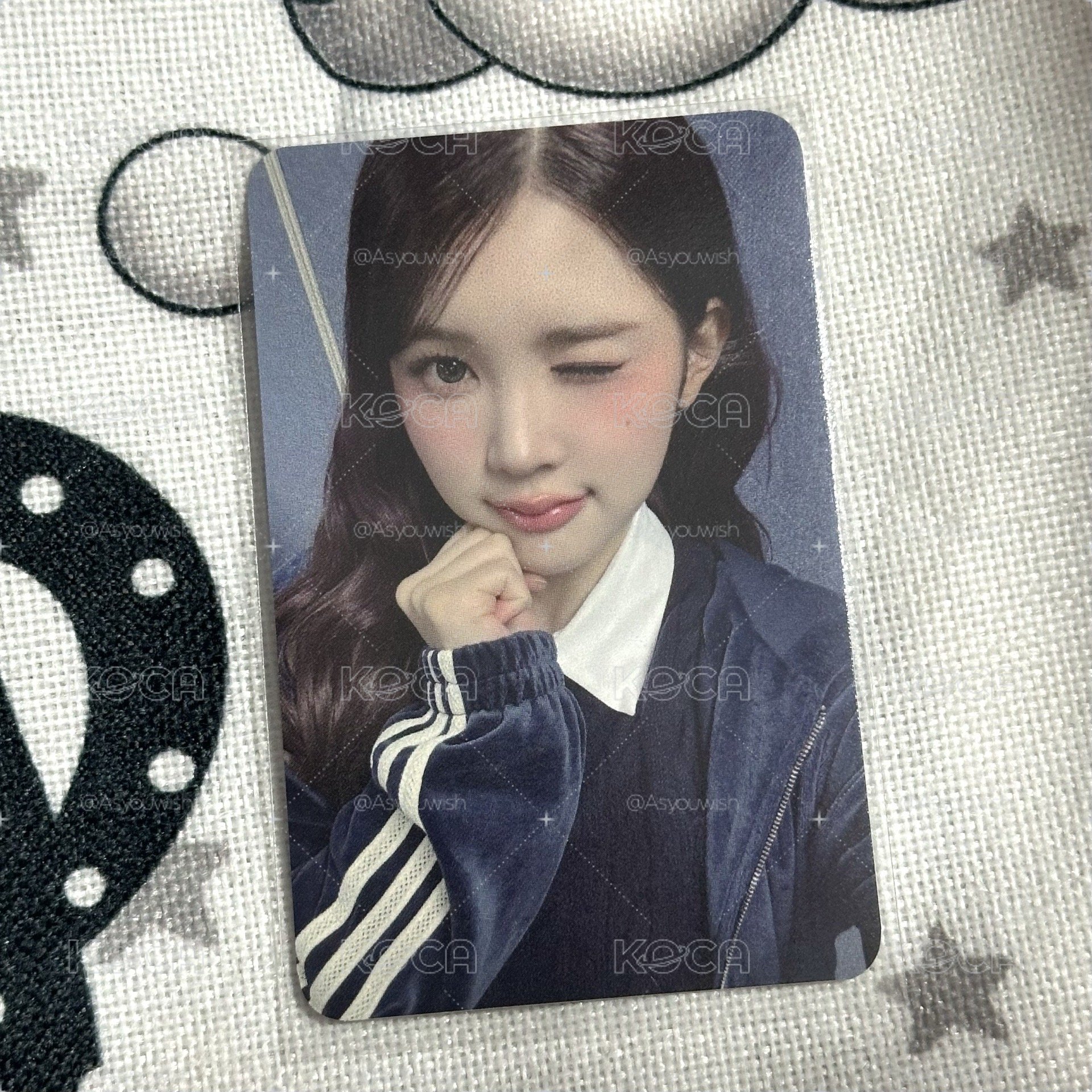 Focus ny 1.0 簽售卡 
