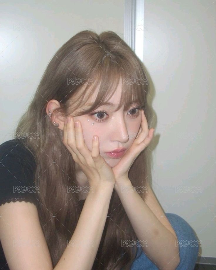 🐱禮貌小貓
