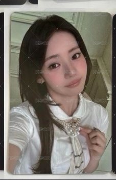 茶