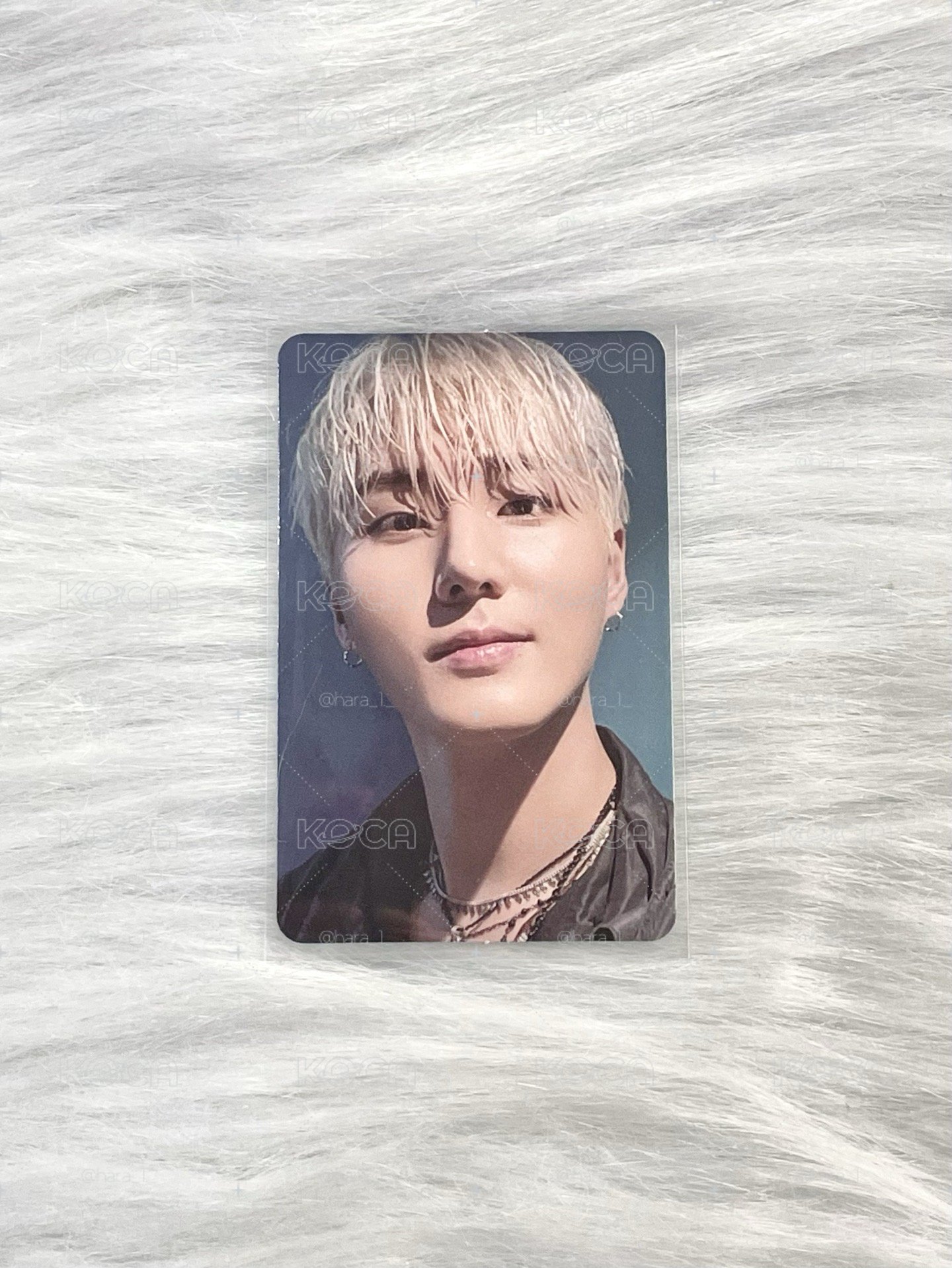 🩶Young K solo專卡🦊