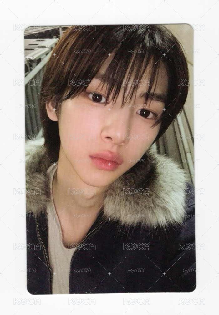原袋未拆年末wvs訓