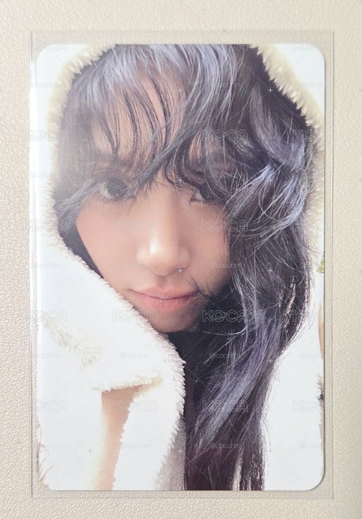 TWICE 迷13 熊帽彩🐻