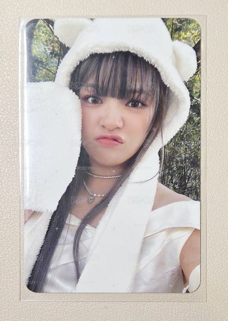 TWICE 迷13 熊帽定🐻