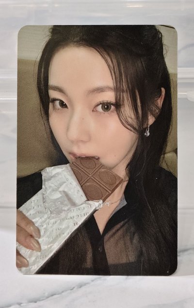 中背巧克力圭 現貨