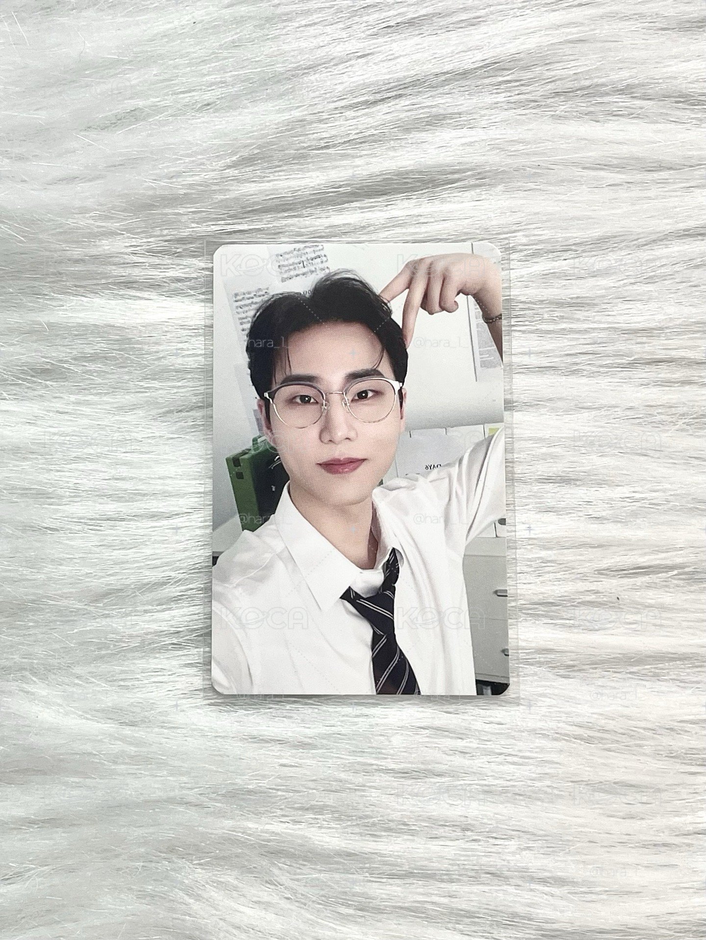 Young K飯咪線下滿額🦊