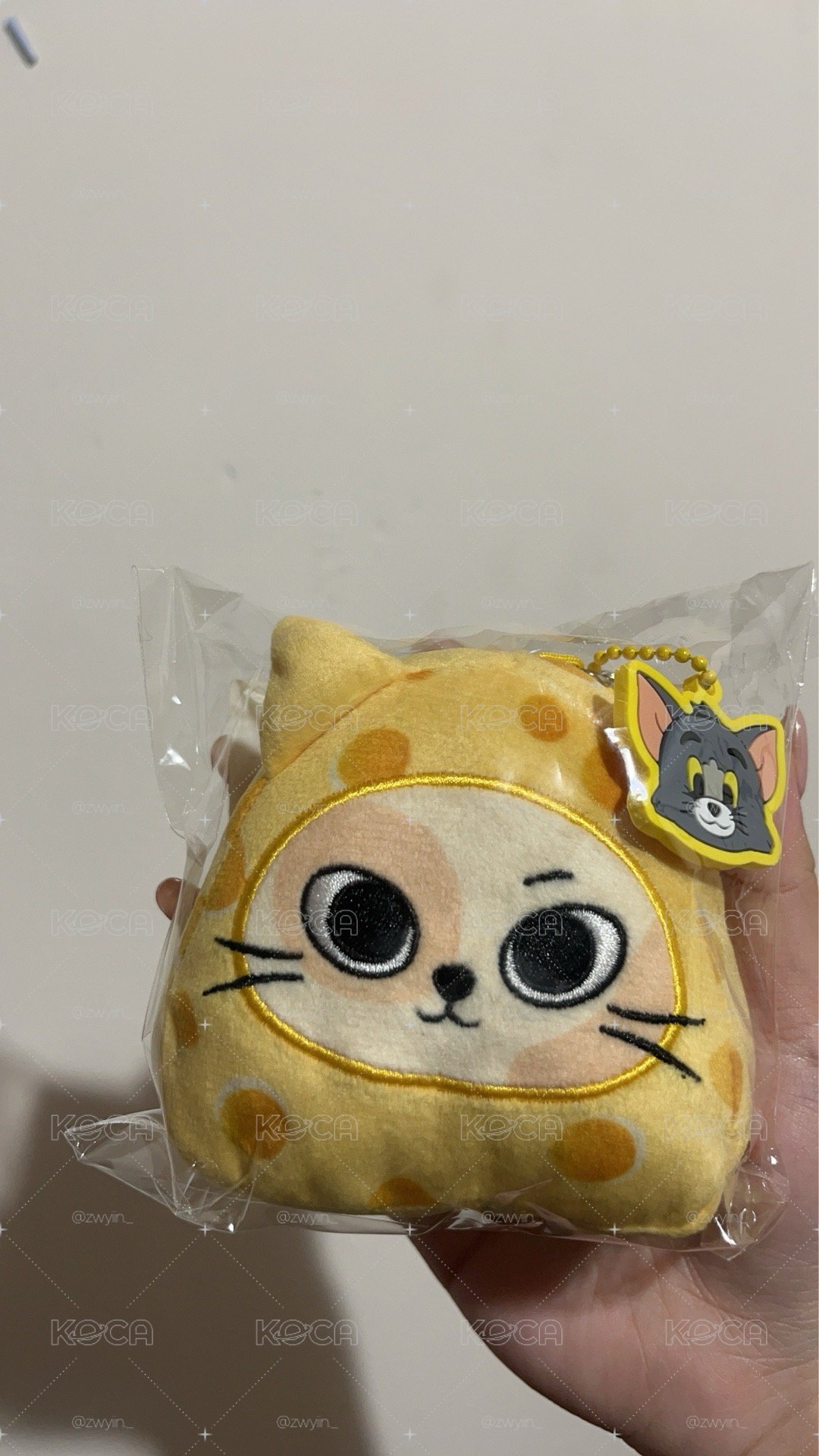 CATBBI起司娃全新未拆