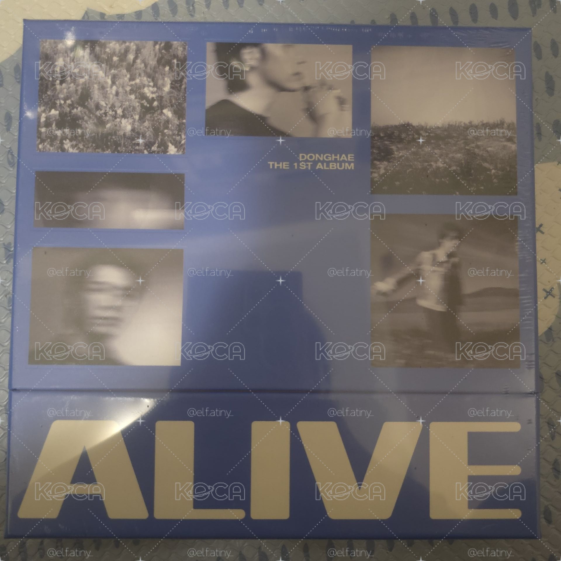 東海ALIVE全專