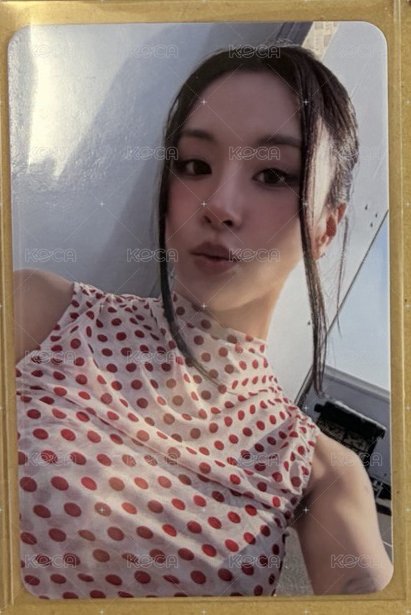正規四