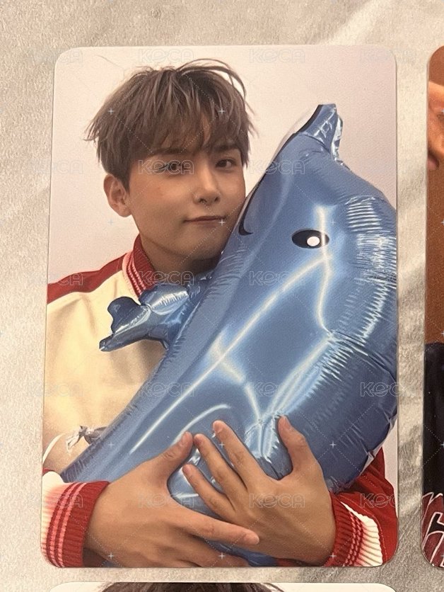 海豚
