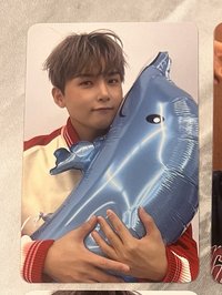 海豚