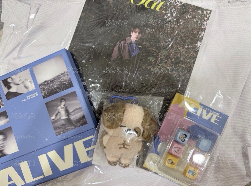 東海solo專輯alive pb+keychain+oat雜誌+日周海娃