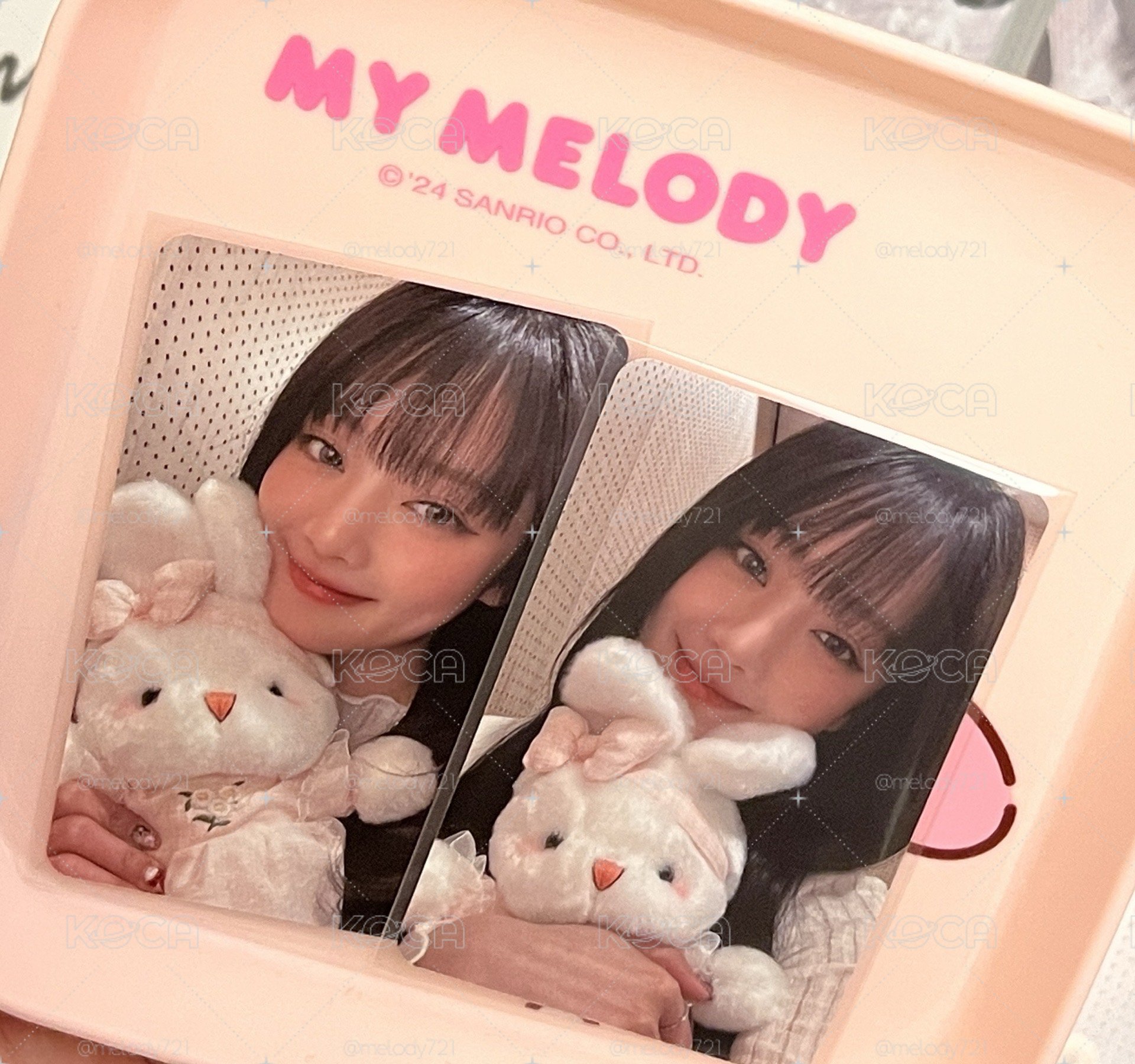 星河 抱兔妮