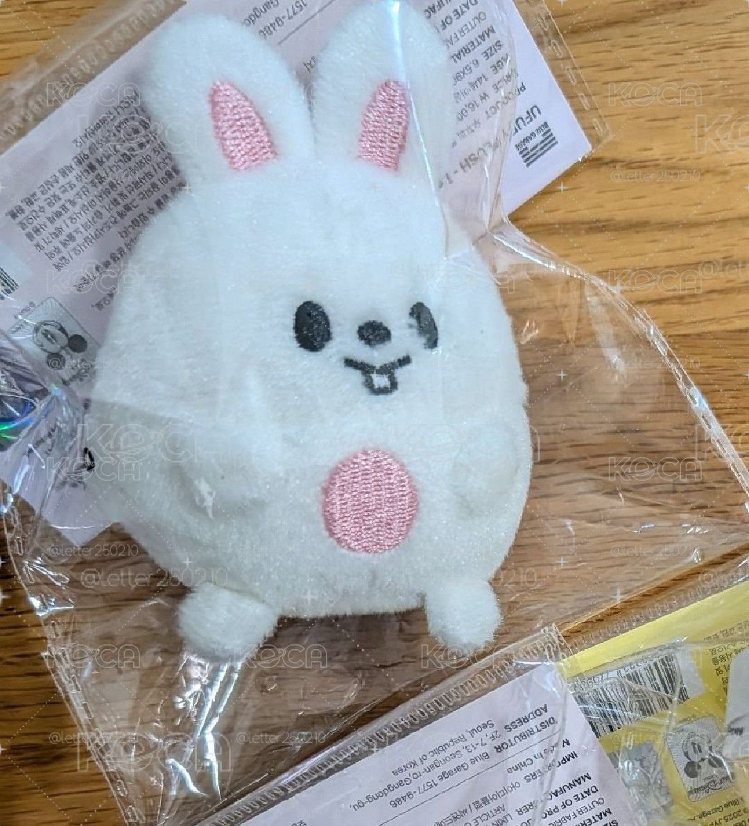 旻動物方程式娃