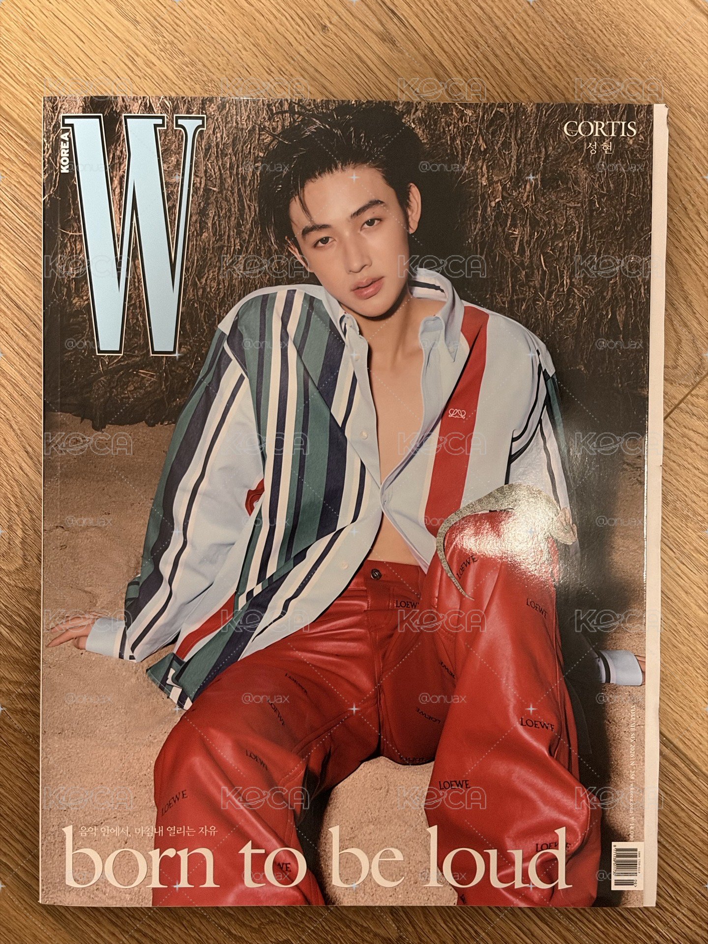 小嚴組合🦊Wkorea雜誌+藍電子專（雜誌微損 請見後方細圖及下方文字）