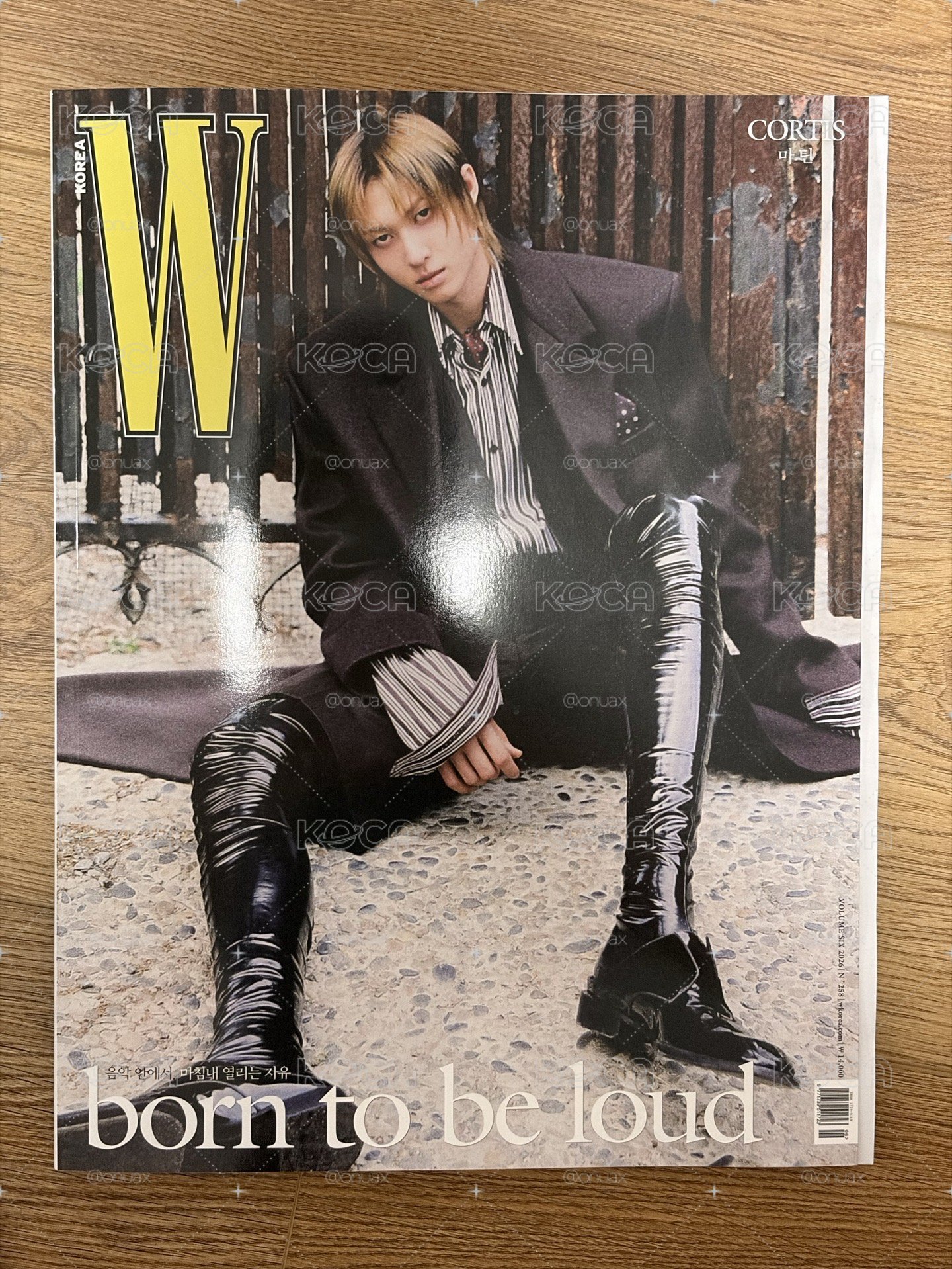 Martin 黑西裝Wkorea雜誌單封+綠電子專