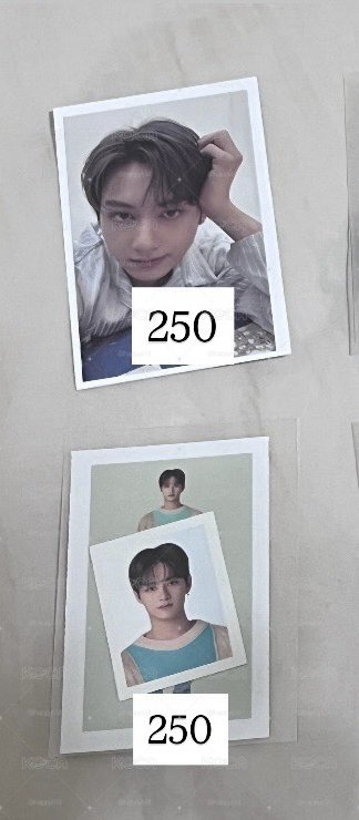 文 250區