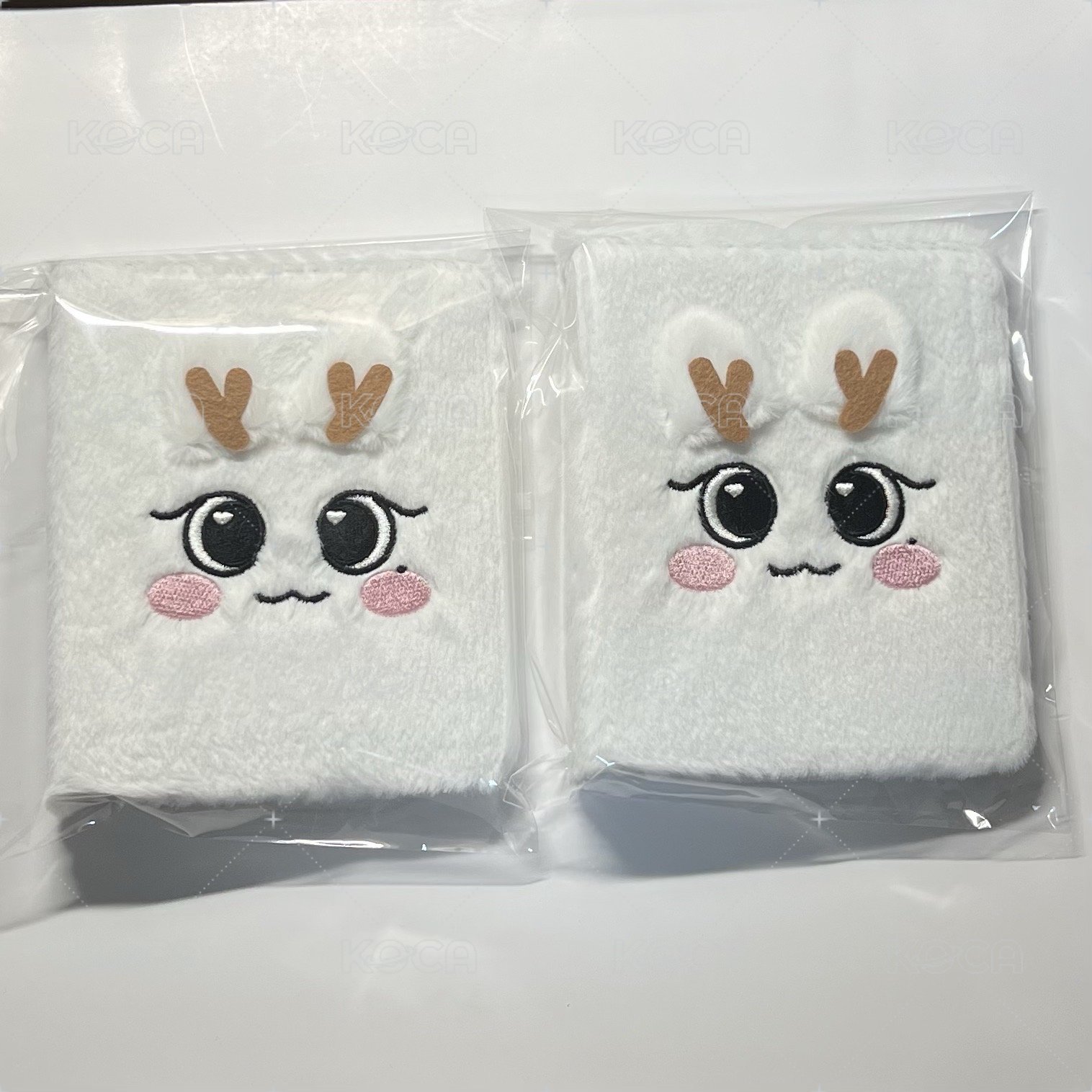 薛（無原袋