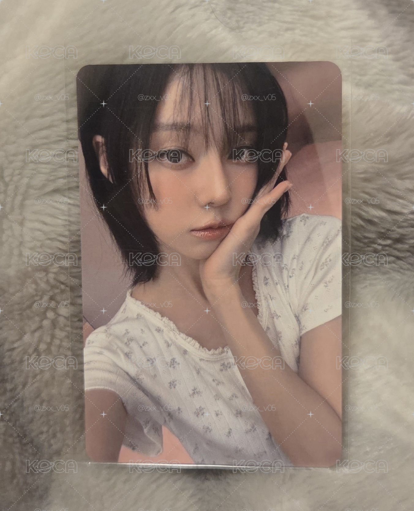 DW 泡泡摩奇 簽售冬