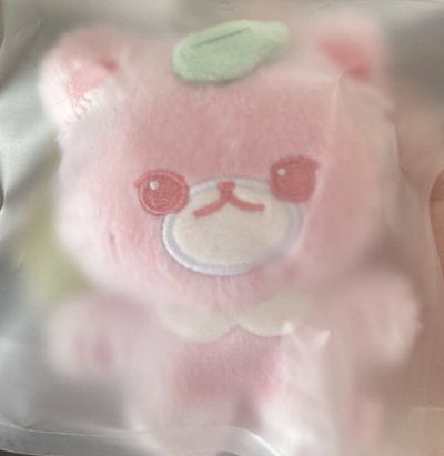 鄭福玹貓（現貨）