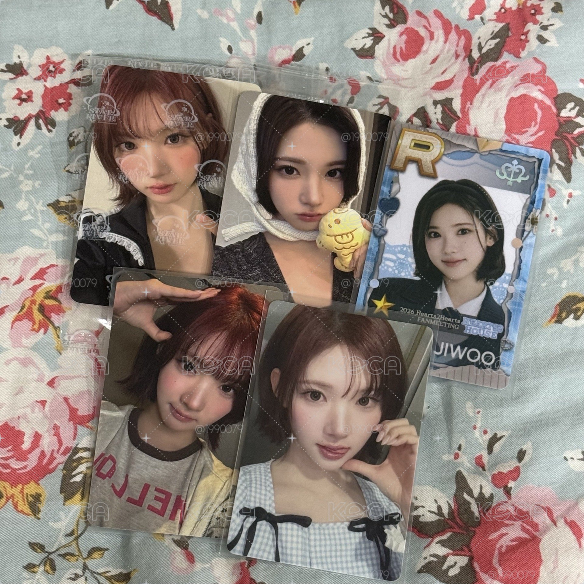 ⭐️Jiwoo