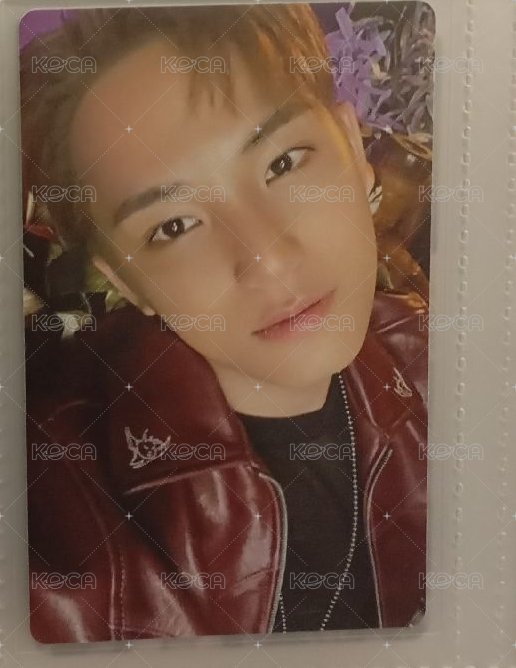 c盤預售特典卡 奎