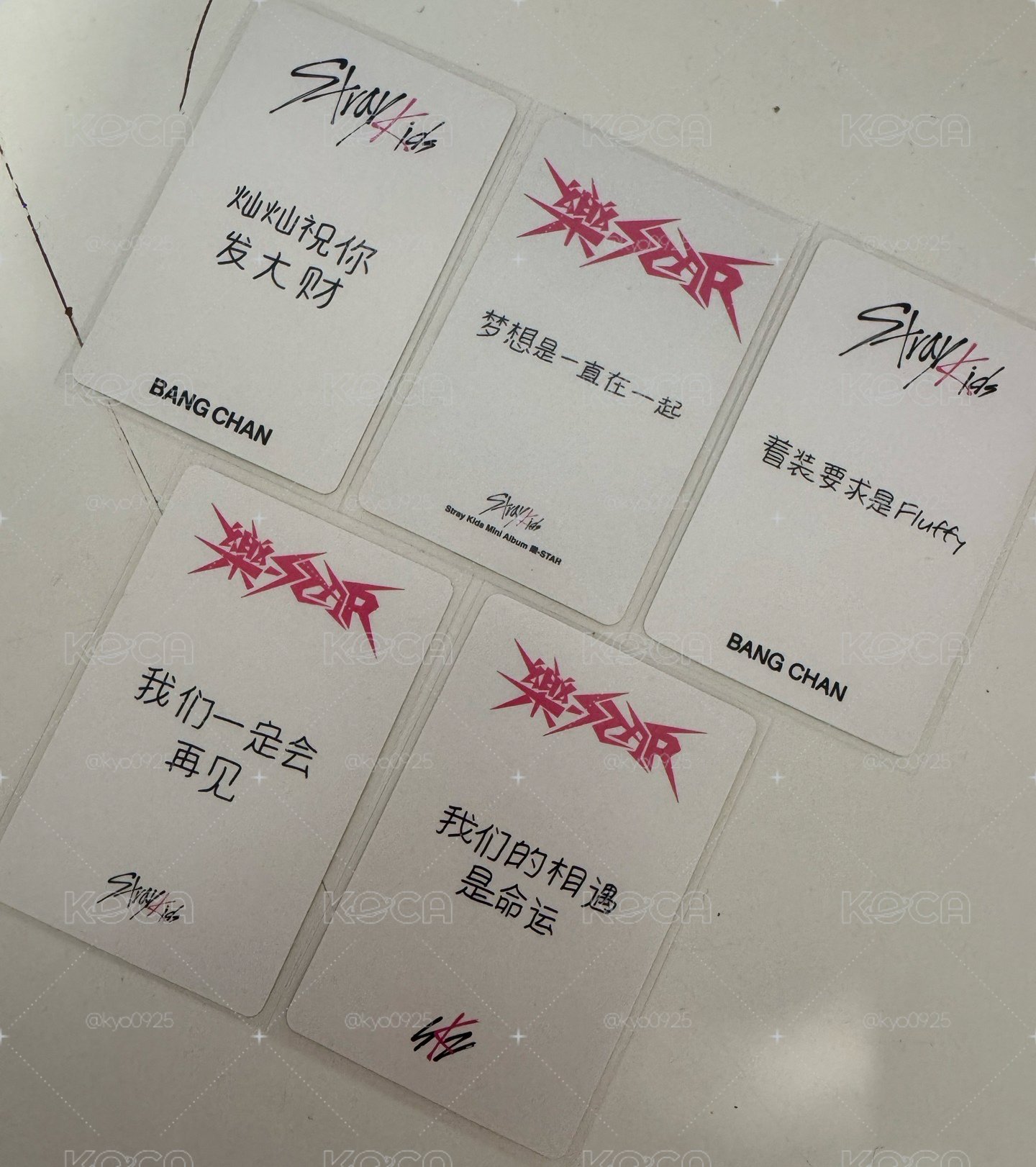 燦中背盤