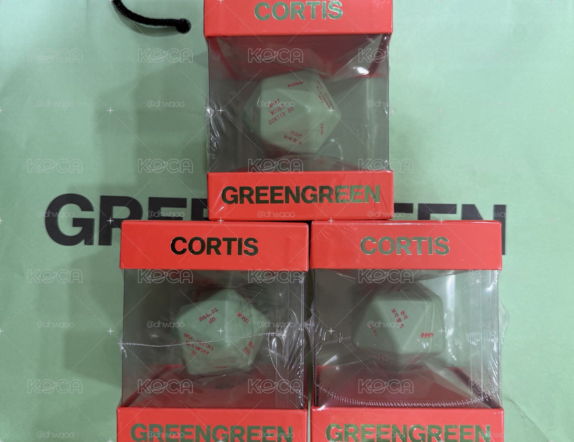 現貨 全新骰子專