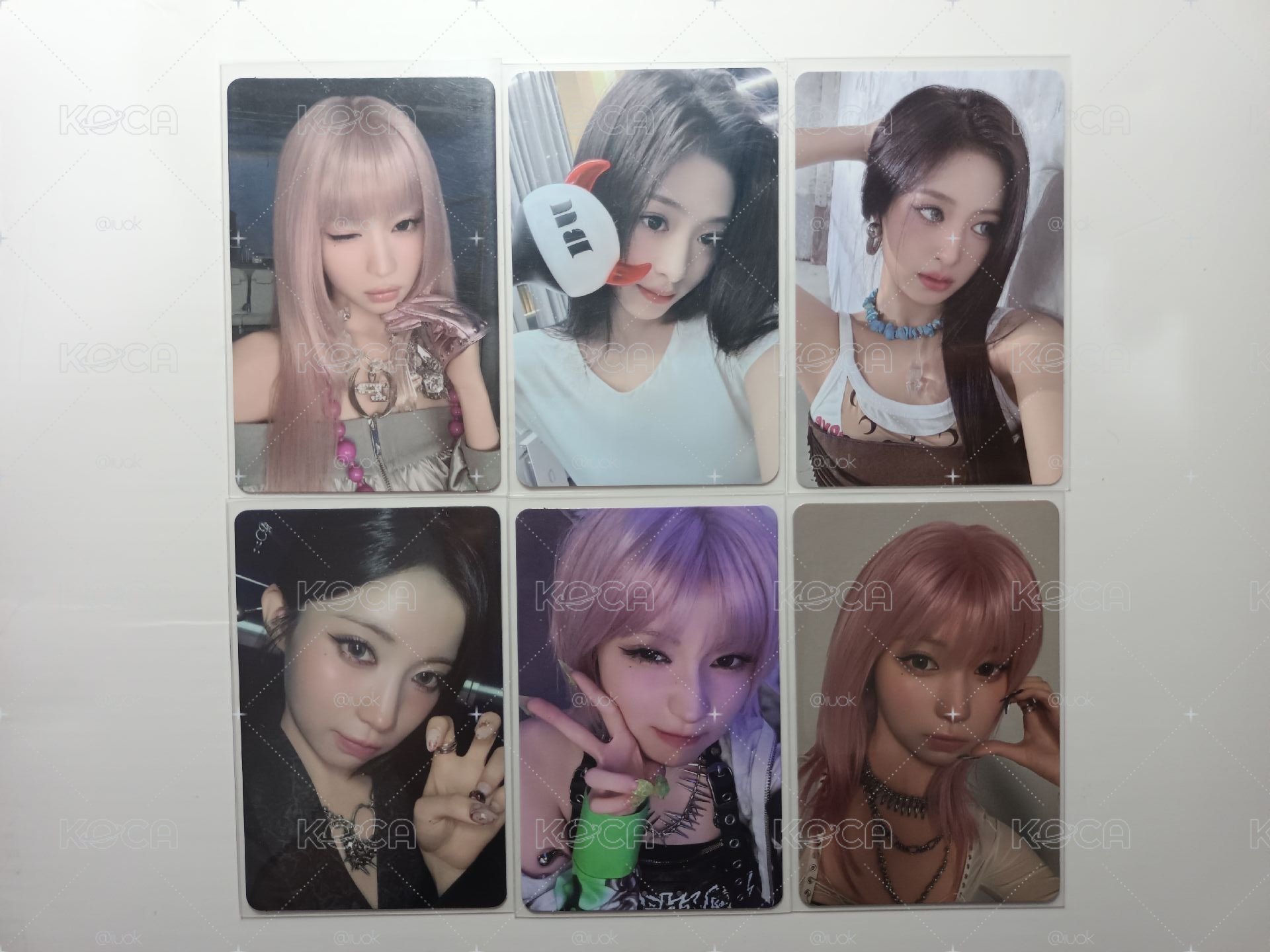 賢角小盤 🦋🐰