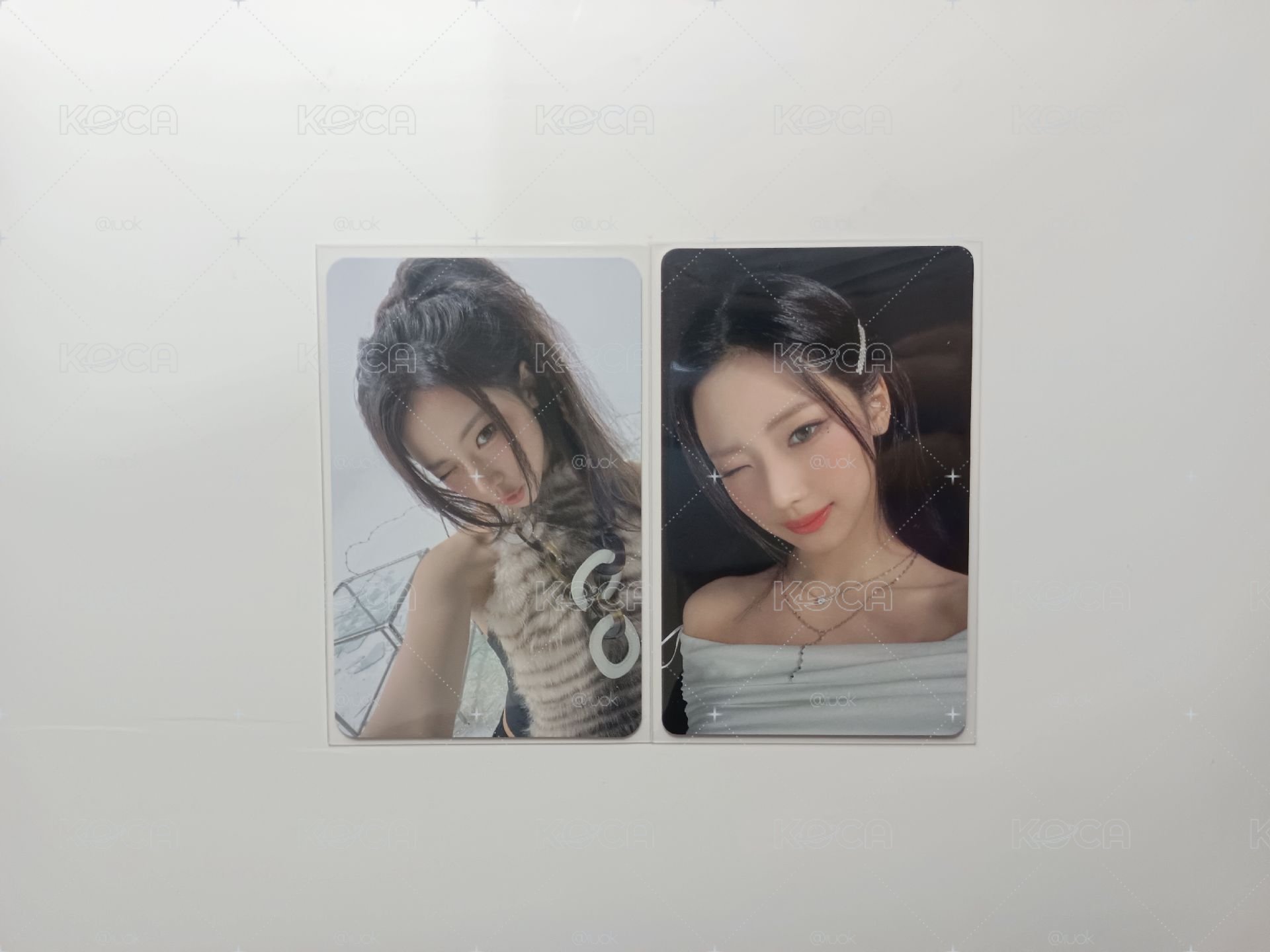 純露盤 🦥