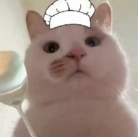 meeu