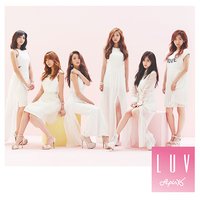 LUV 初回B盤 專輯 