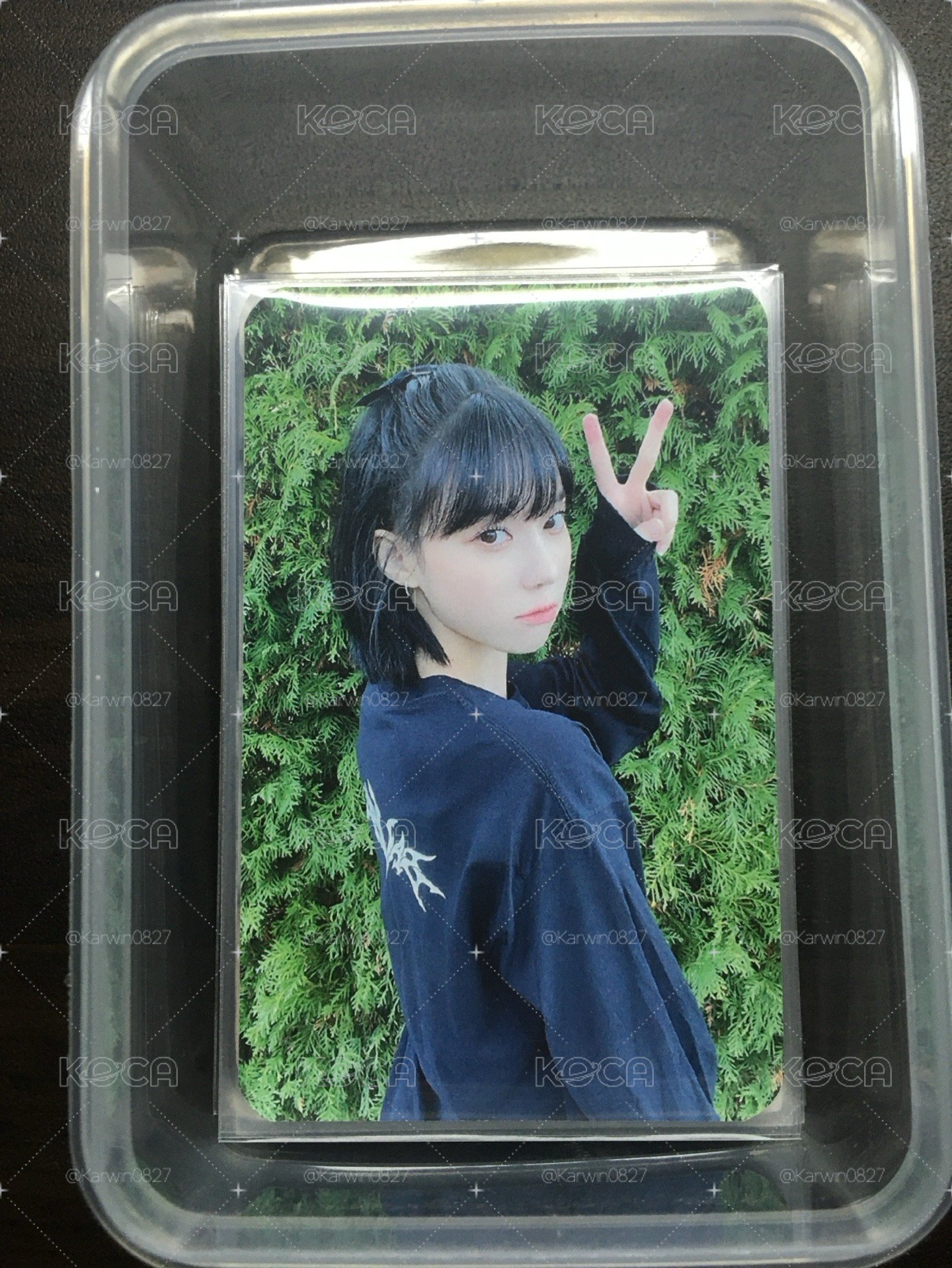 savage綠牆冬