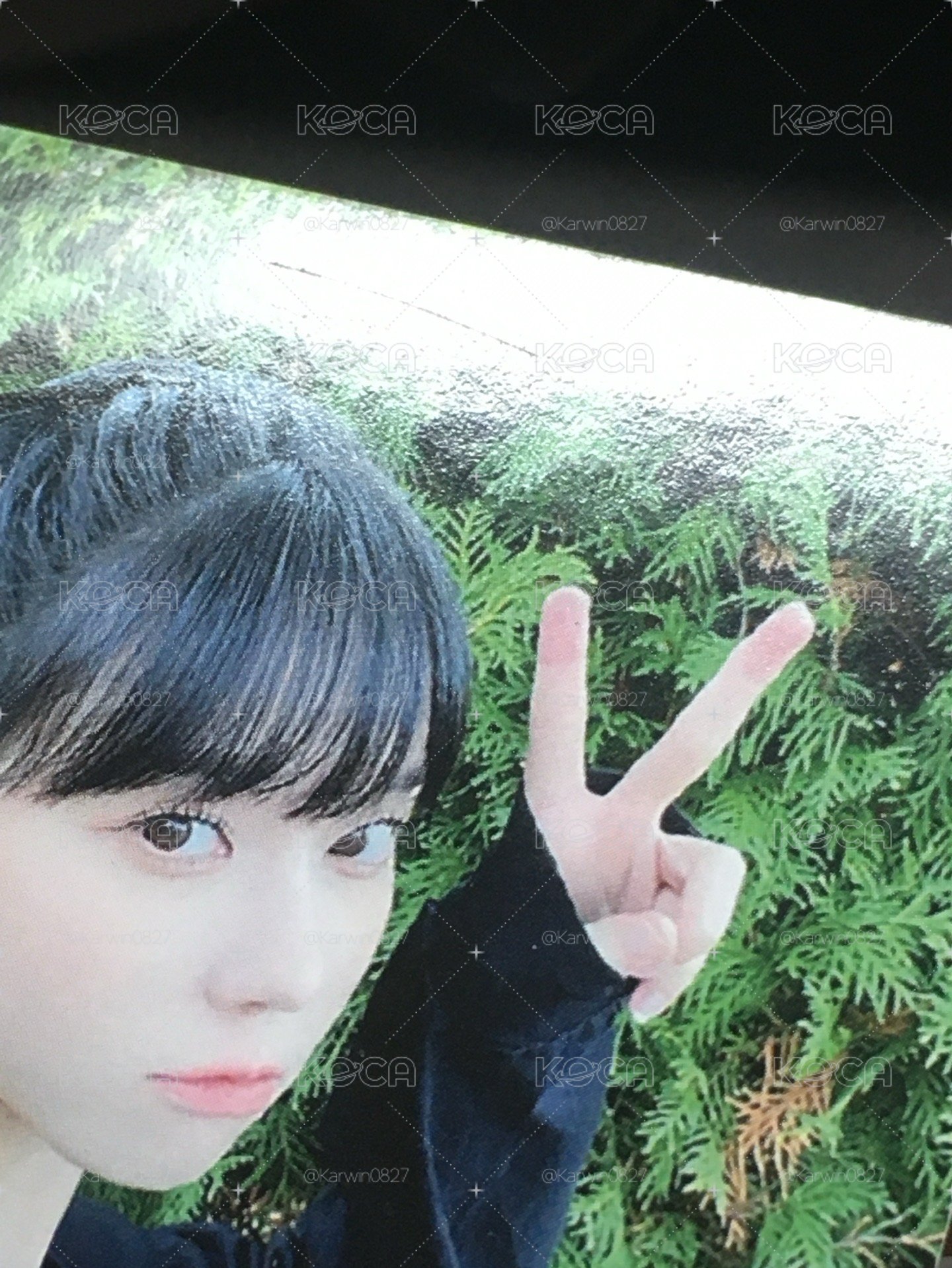 savage綠牆冬