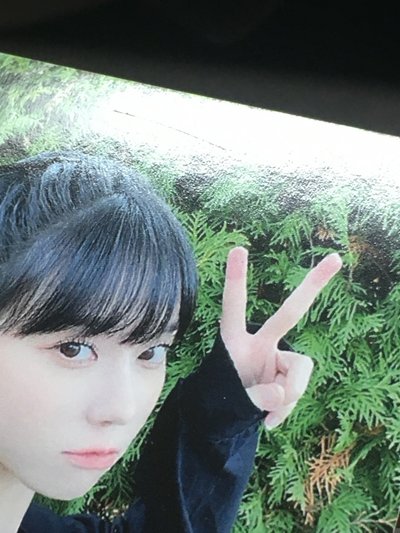 savage綠牆冬