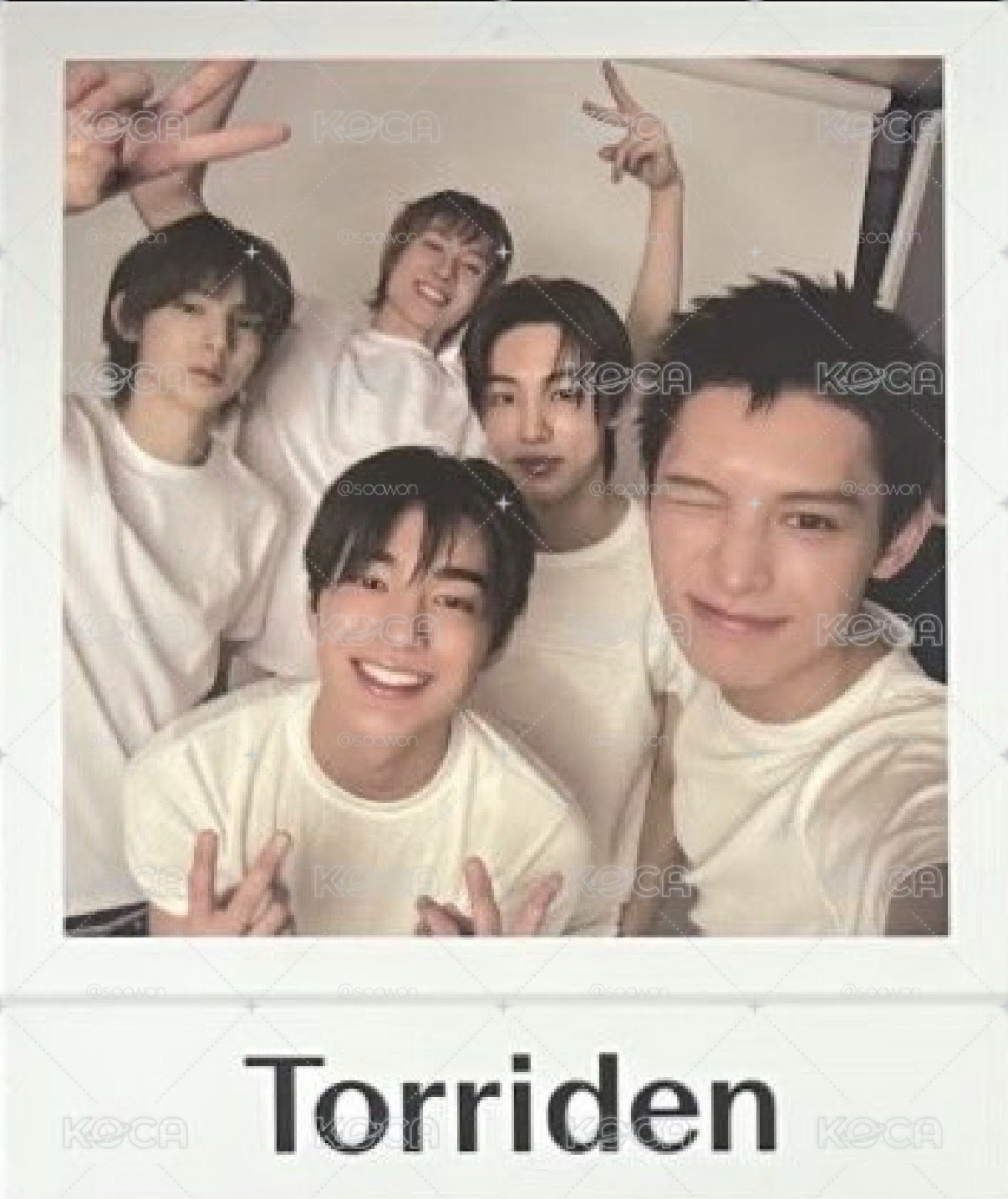 Torriden oy 代言卡 整套