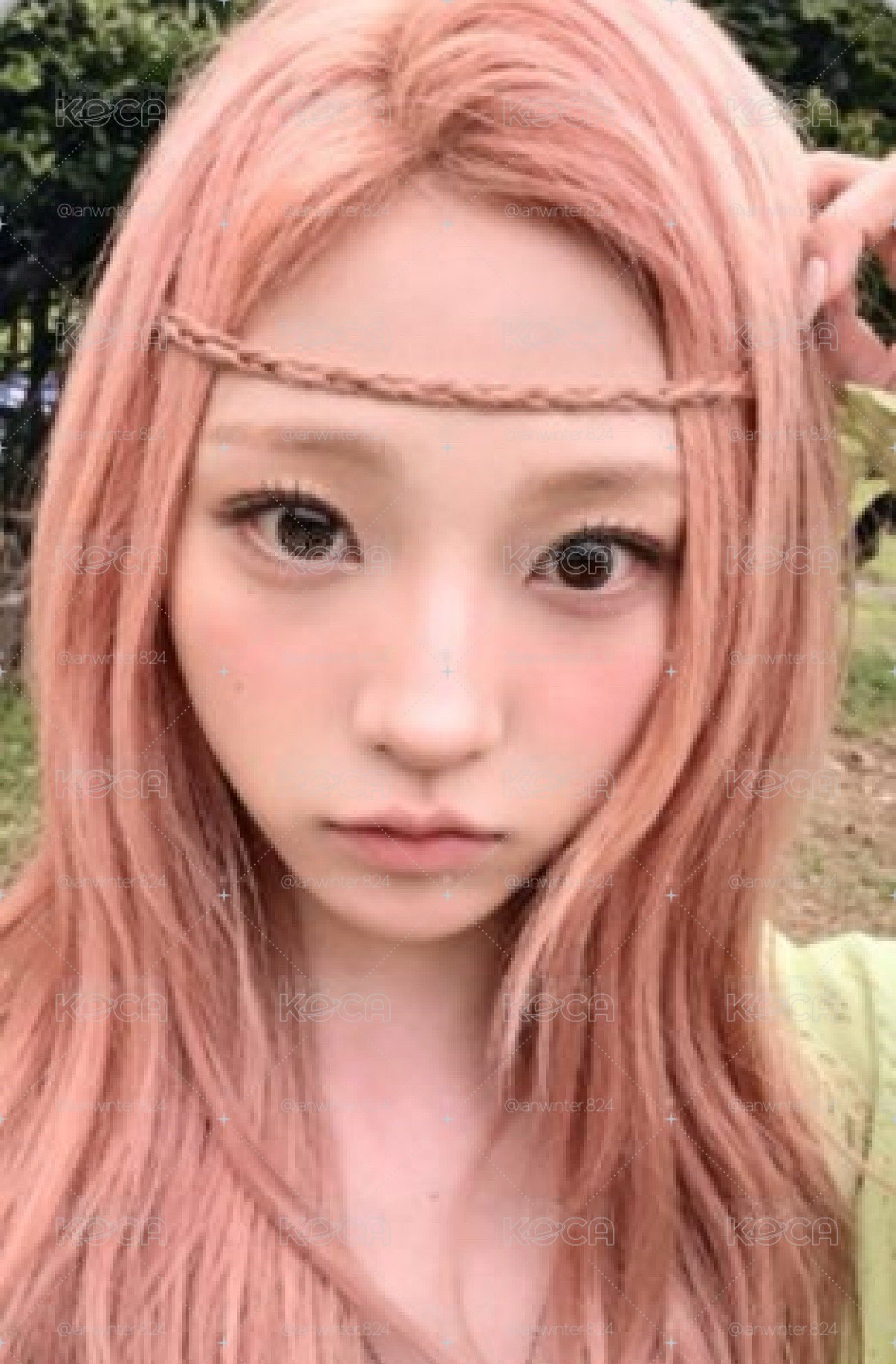 迷二 ma 特典卡 stella
