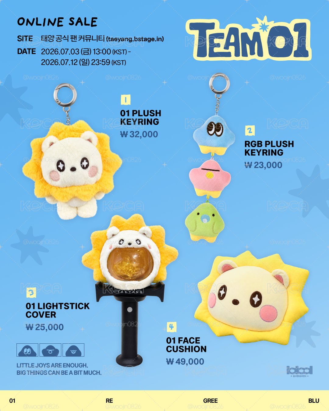 Team 01